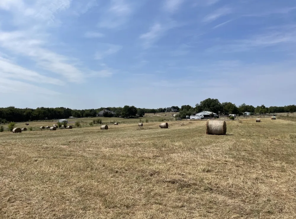 11321 Wild Rose Lane Anna, TX 75409