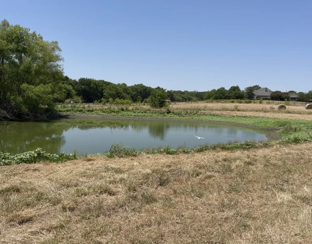 11321 Wild Rose Lane Anna, TX 75409