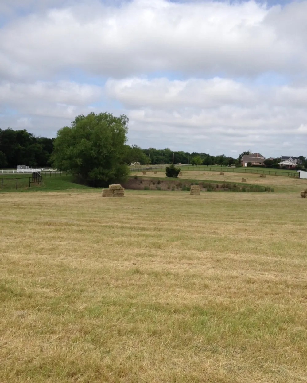 11321 Wild Rose Lane Anna, TX 75409