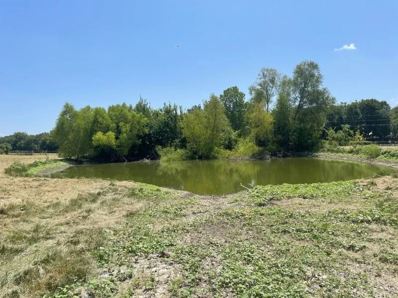 11321 Wild Rose Lane Anna, TX 75409