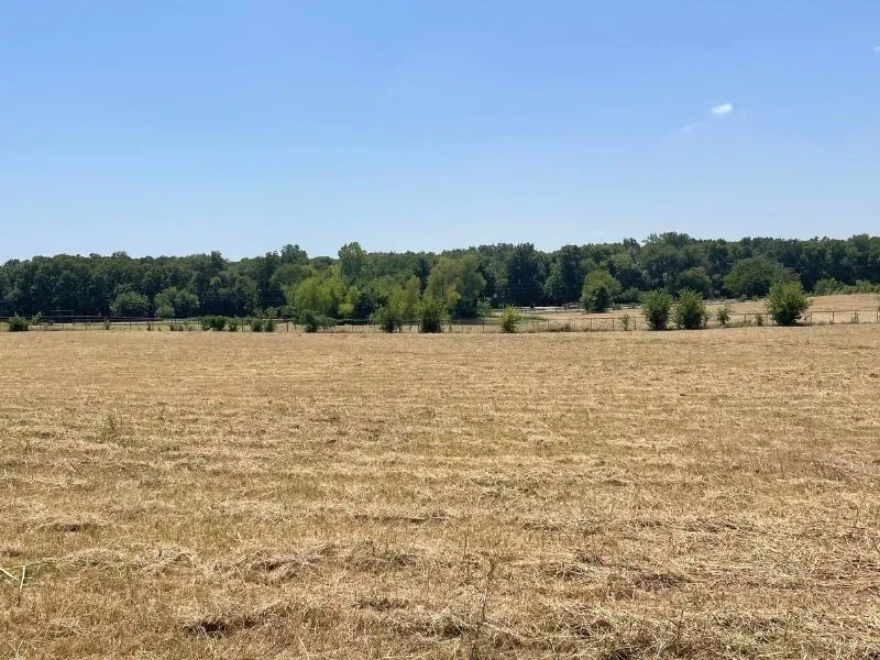 11321 Wild Rose Lane Anna, TX 75409