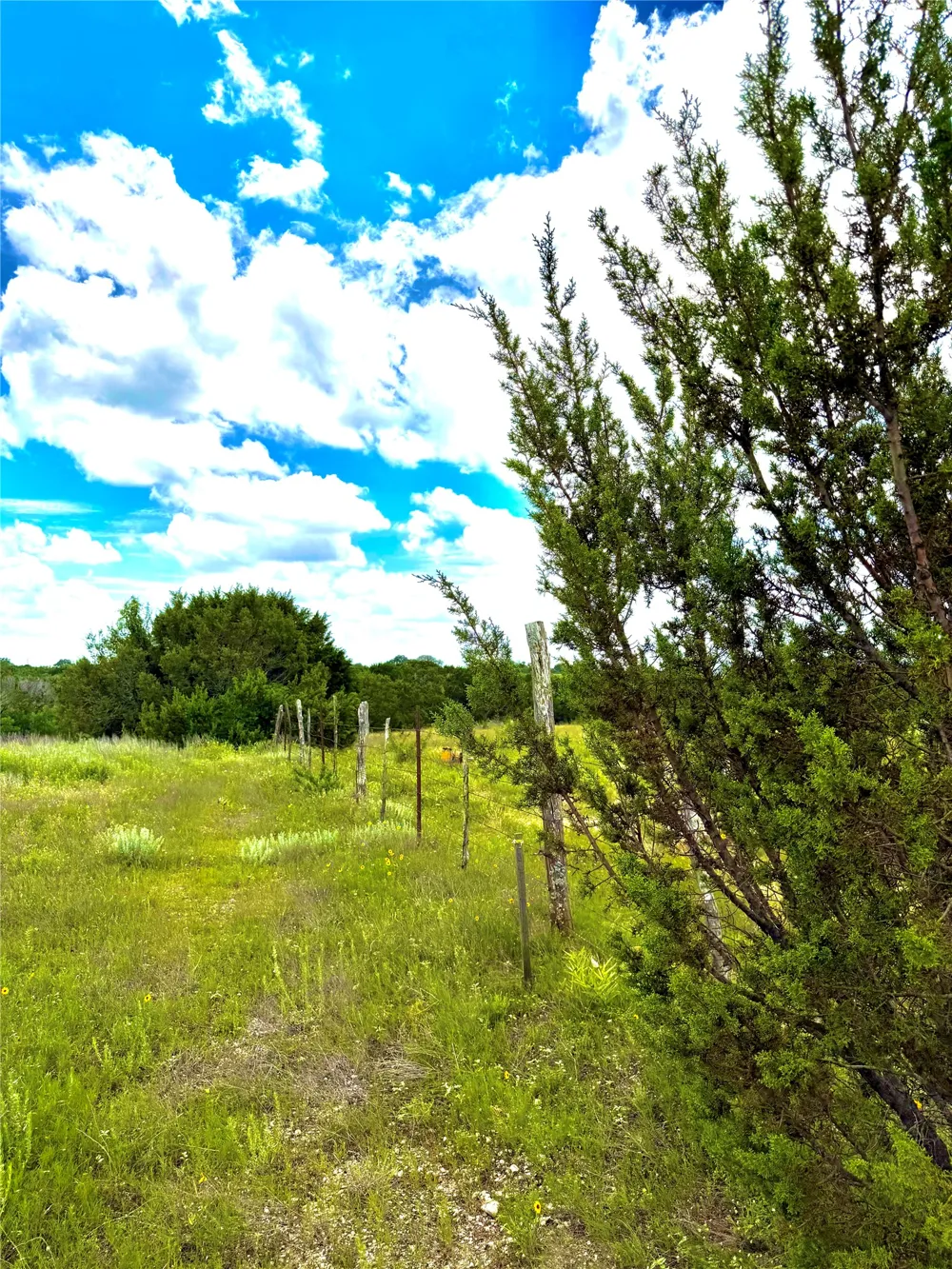 Adobe Hill Drive Stephenville, TX 76401