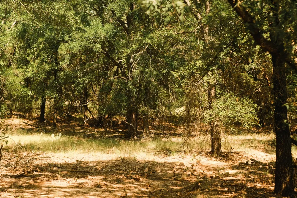 10405 Lipan Highway Lipan, TX 76462