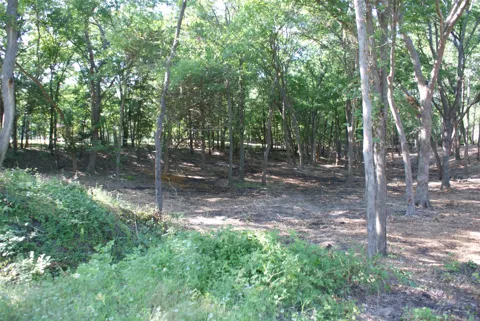 County Road 3713