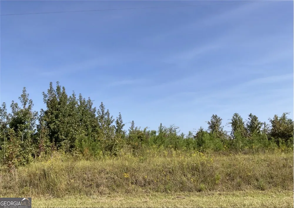 0 Old Balls Ferry RD Toomsboro, GA 31090