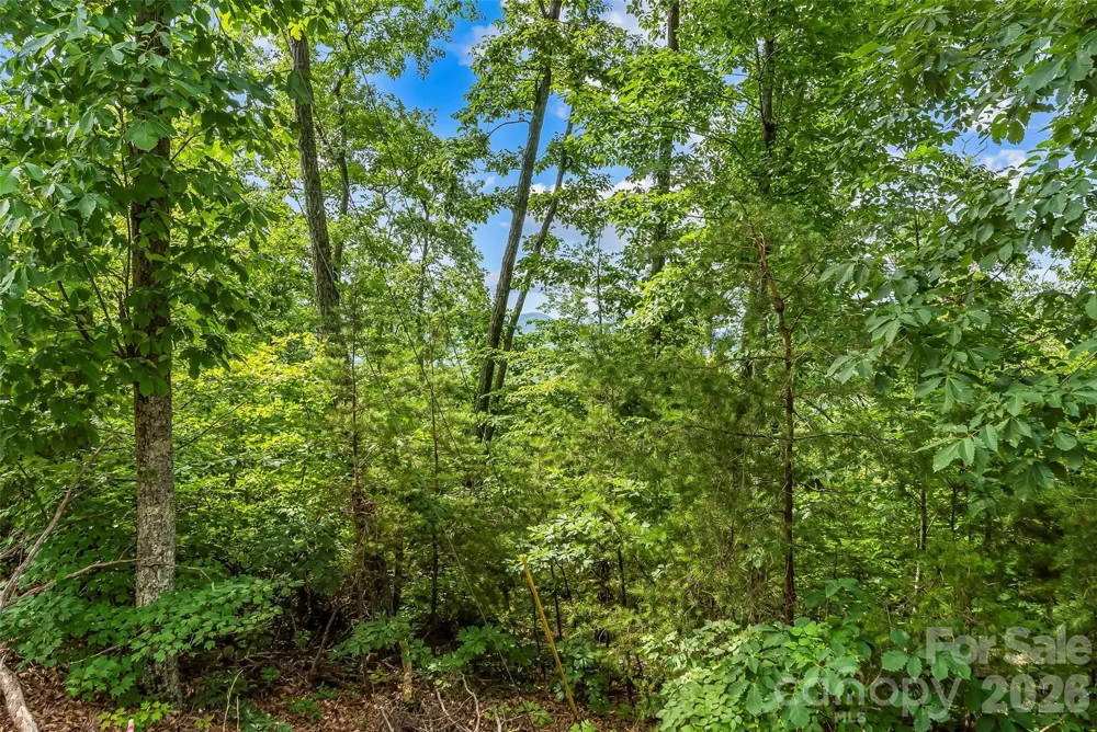 0 Brighton Drive #237 Bostic, NC 28018