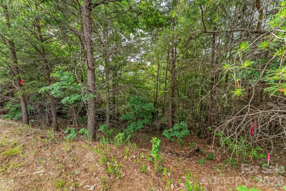 0 Brighton Drive #237 Bostic, NC 28018