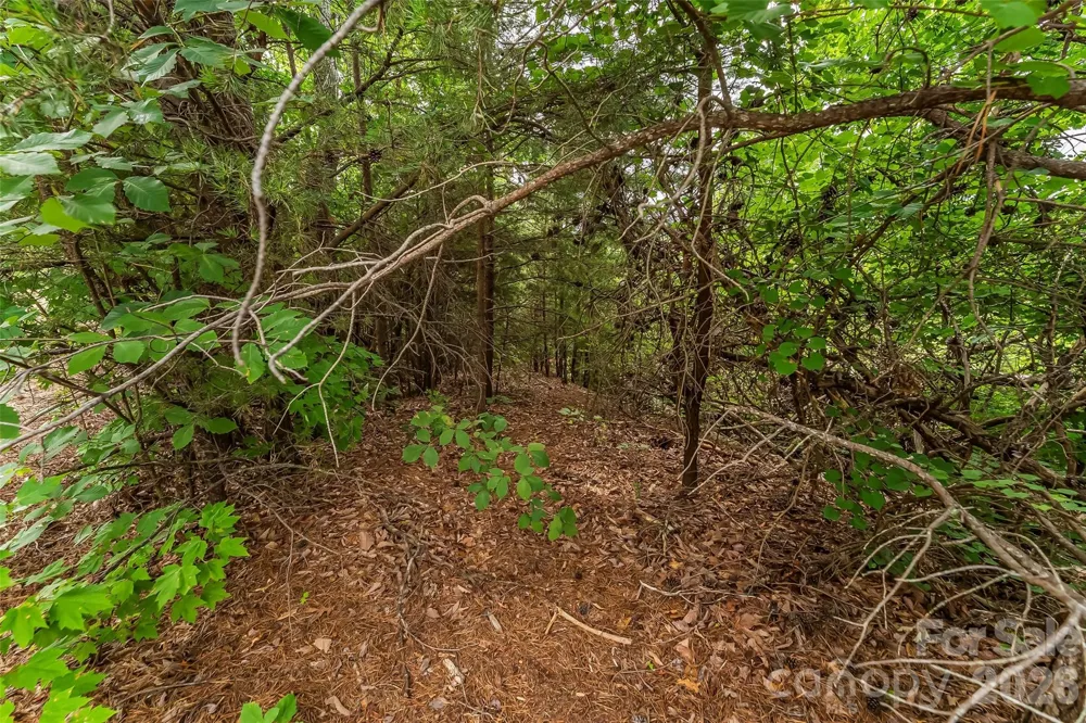 0 Brighton Drive #237 Bostic, NC 28018