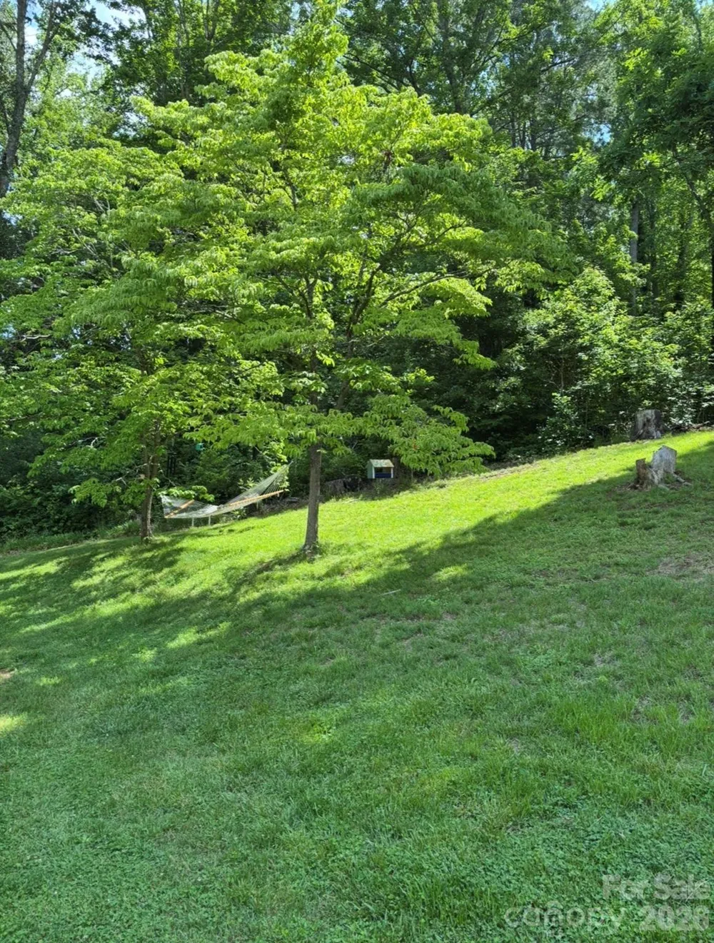 6 Greene Knoll Drive Candler, NC 28715