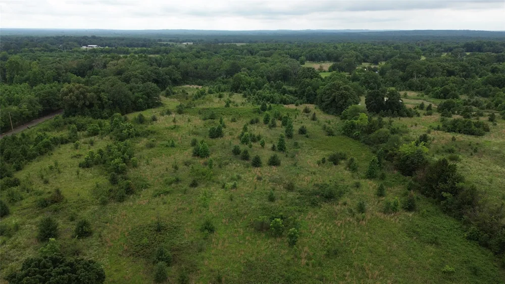 CR 2805 Mineola, TX 75773