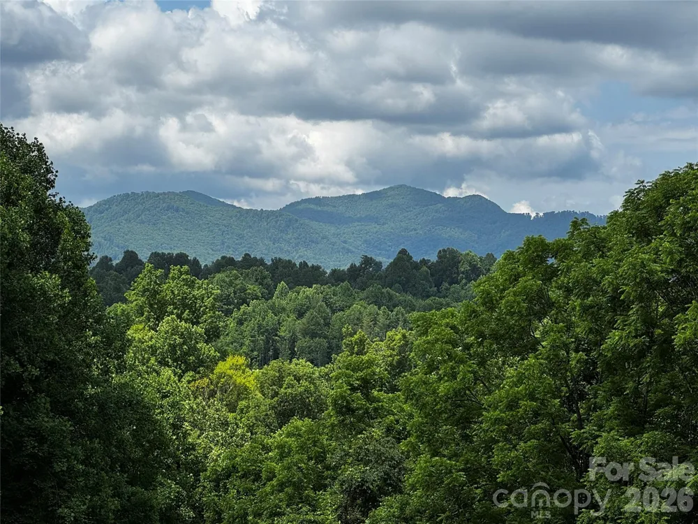 1327 NC 80 Highway Bakersville, NC 28705
