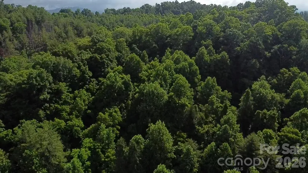 1327 NC 80 Highway Bakersville, NC 28705