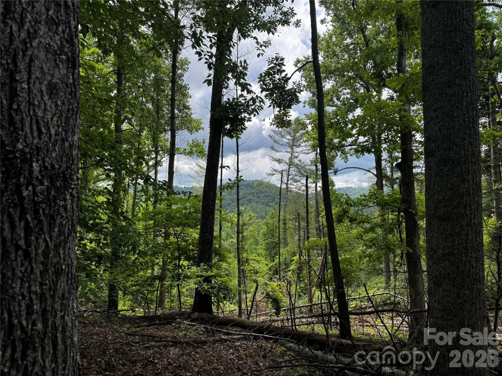 1327 NC 80 Highway Bakersville, NC 28705