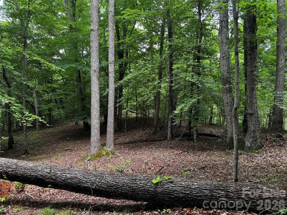 1327 NC 80 Highway Bakersville, NC 28705