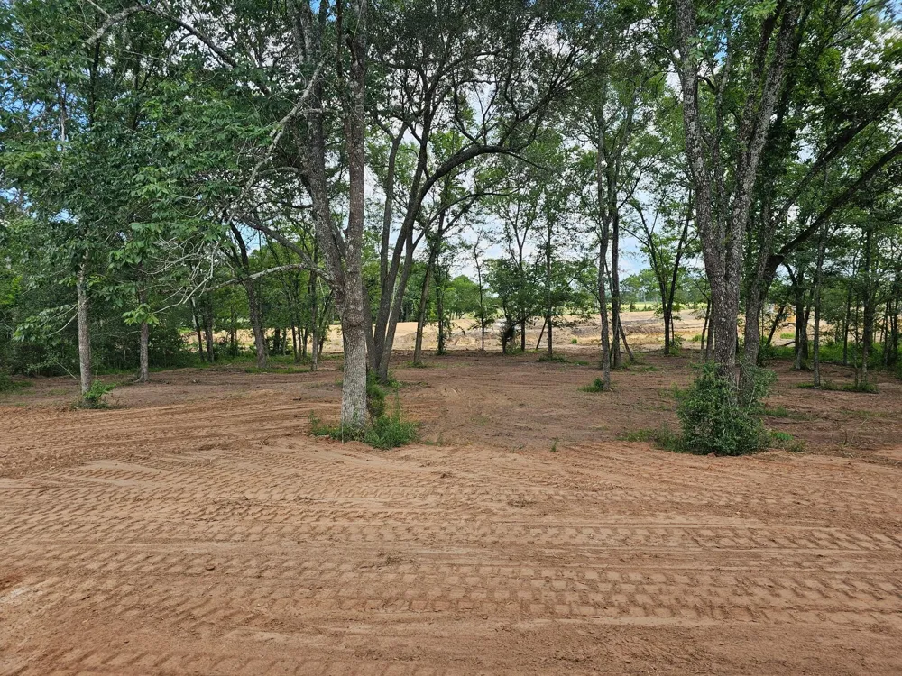 9646 Lakeside Oaks Drive Plantersville, TX 77363