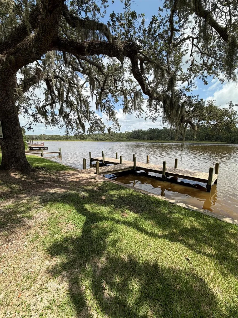 4454 Recreation Drive Brazoria, TX 77422