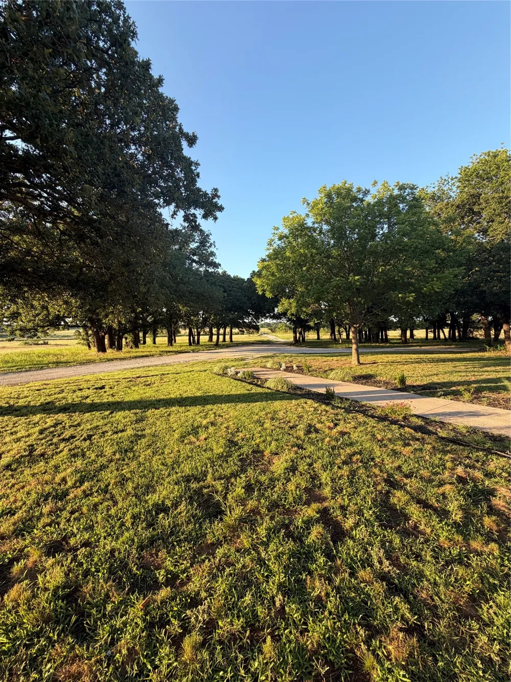 1306 Mcdaniel Street Callisburg, TX 76240
