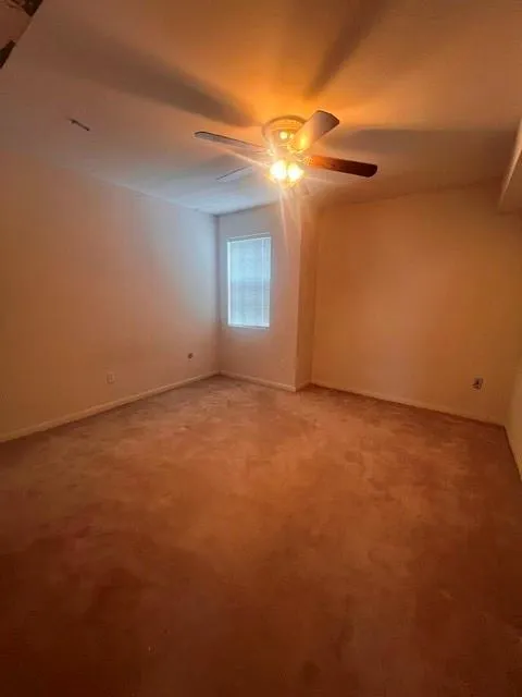 6304 S Rice Avenue Bellaire, TX 77401