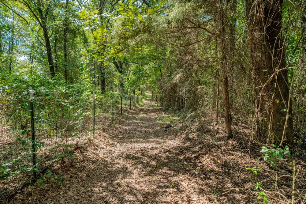 815 VZ County Road 4409 Ben Wheeler, TX 75754