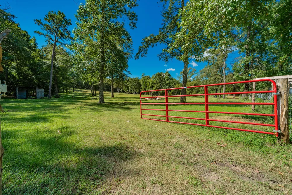 815 VZ County Road 4409 Ben Wheeler, TX 75754