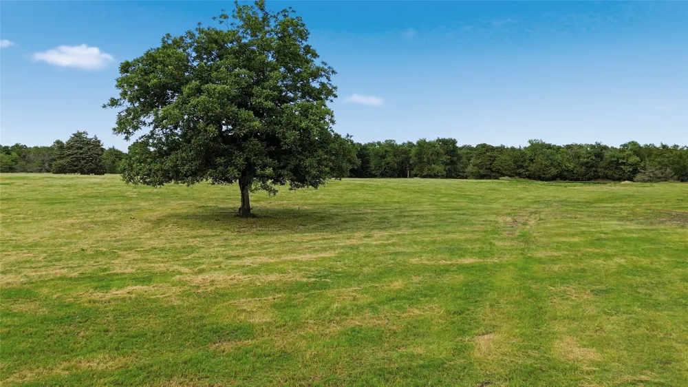 County Road 3090 Ben Franklin, TX 75415