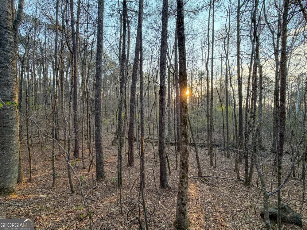 83 +/- Acres on US Hwy 27 Franklin, GA 30217