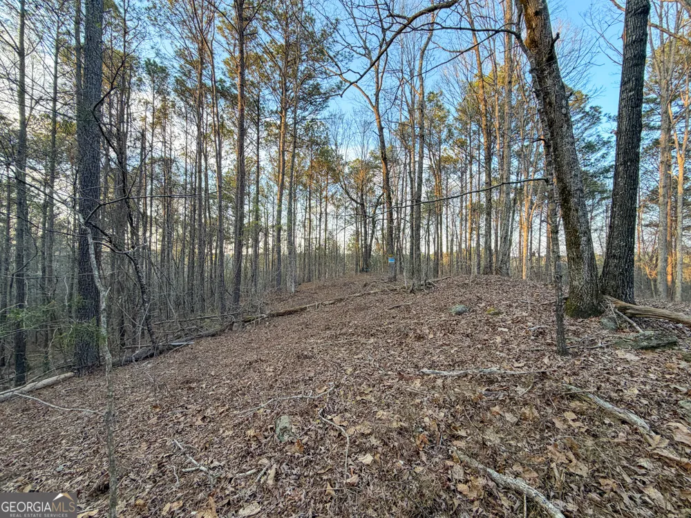 83 +/- Acres on US Hwy 27 Franklin, GA 30217