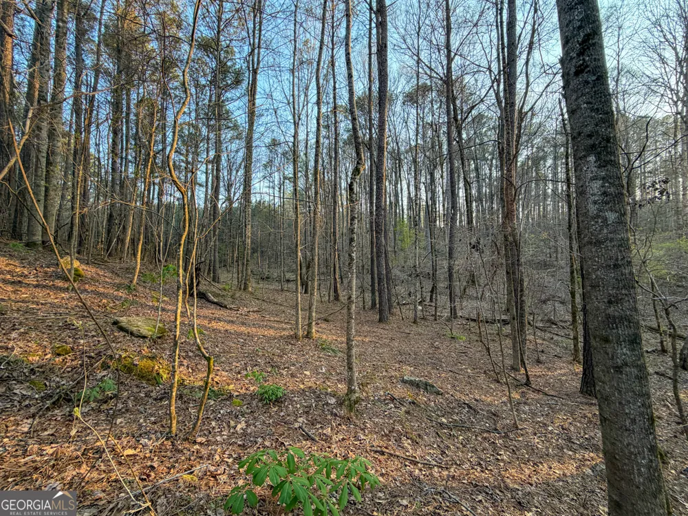 83 +/- Acres on US Hwy 27 Franklin, GA 30217