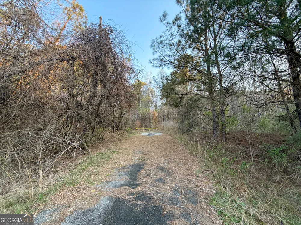 83 +/- Acres on US Hwy 27 Franklin, GA 30217