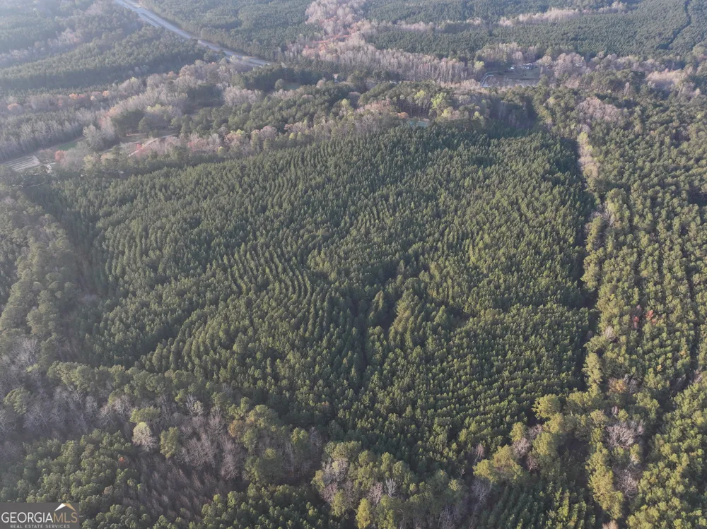 83 +/- Acres on US Hwy 27 Franklin, GA 30217