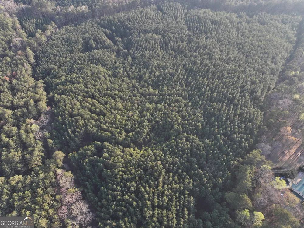 83 +/- Acres on US Hwy 27 Franklin, GA 30217