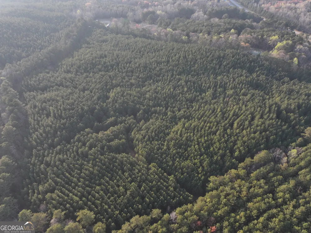 83 +/- Acres on US Hwy 27 Franklin, GA 30217