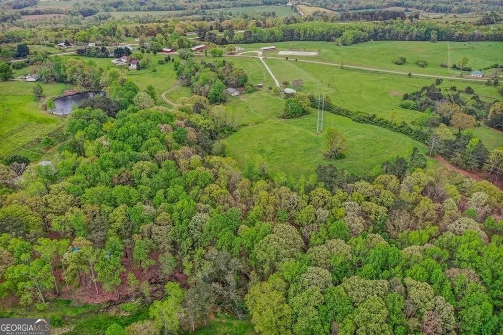 80 UPPER CALDWELL RD Bowdon, GA 30108