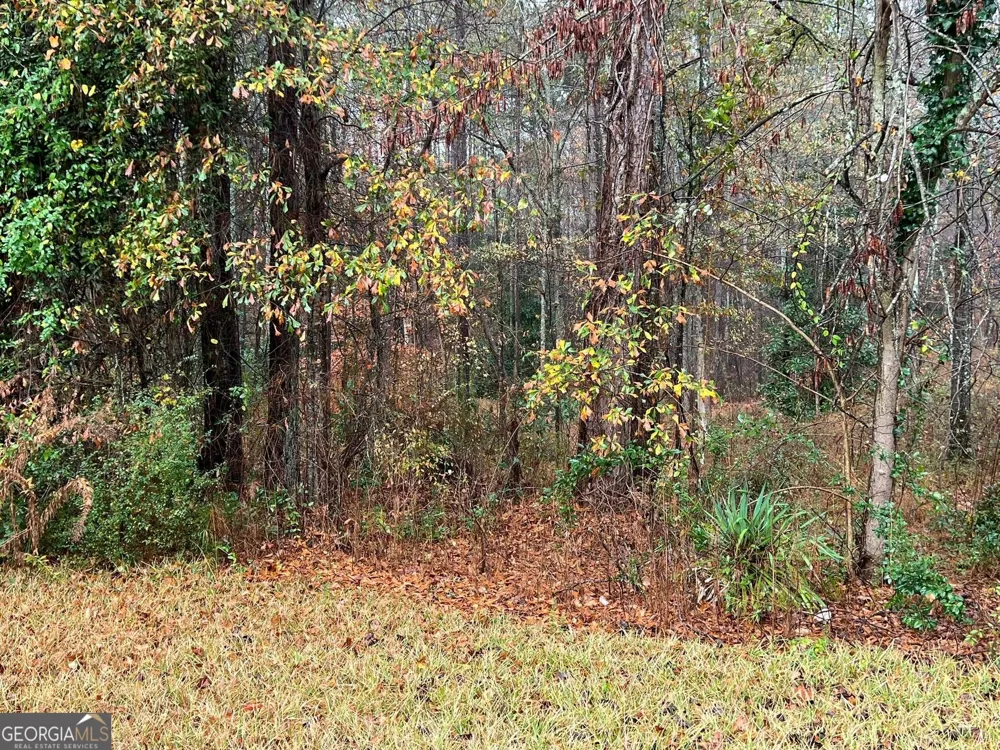 0 Cherokee DR Tallapoosa, GA 30176