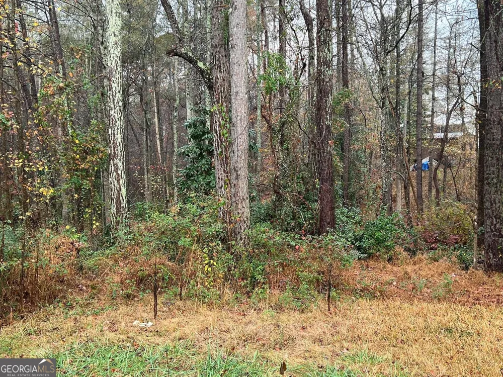 0 Cherokee DR Tallapoosa, GA 30176