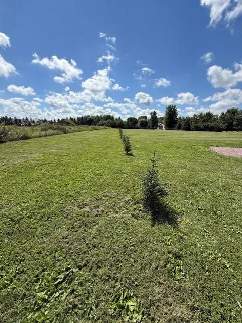 2925 Matthew Drive Windom, MN 56101