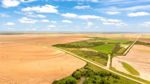 FM 384