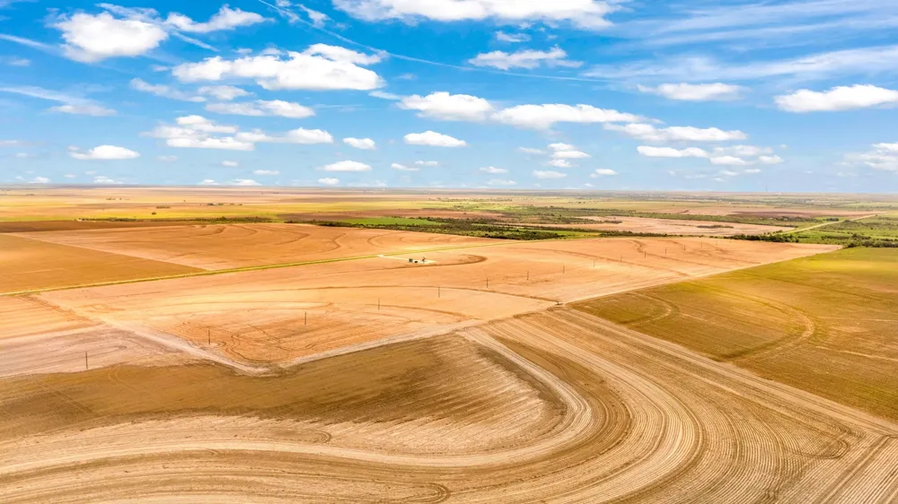 FM 384 Winters, TX 79567
