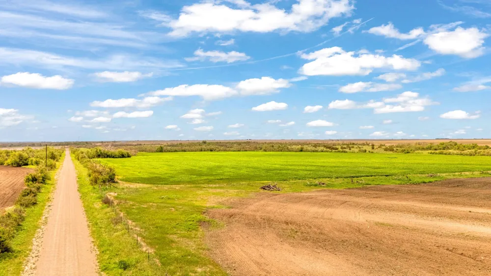 FM 384 Winters, TX 79567