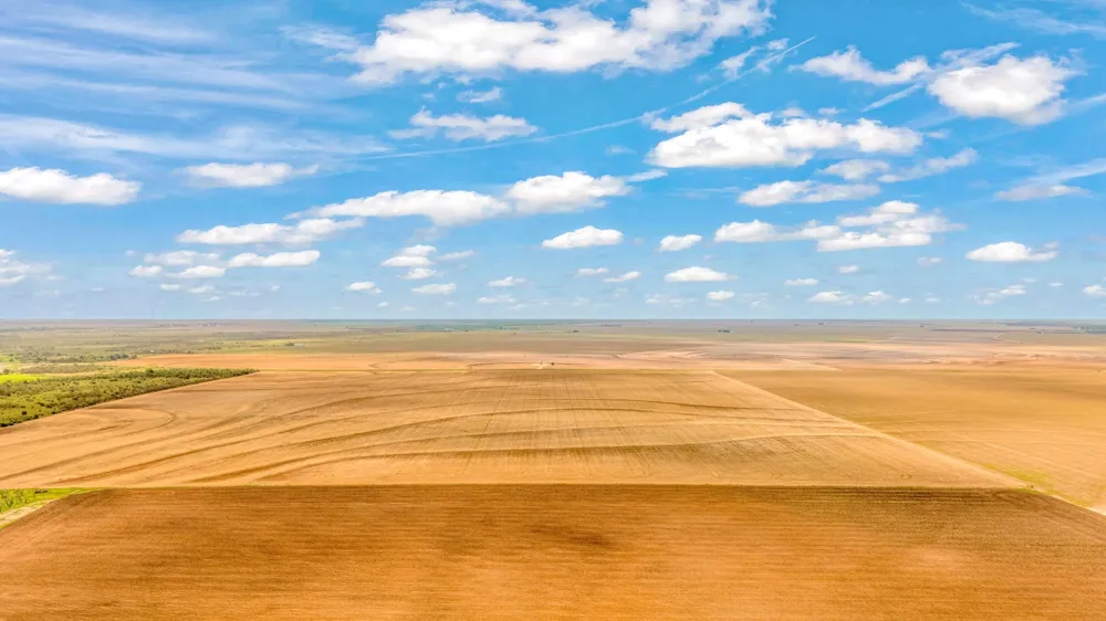 FM 384 Winters, TX 79567