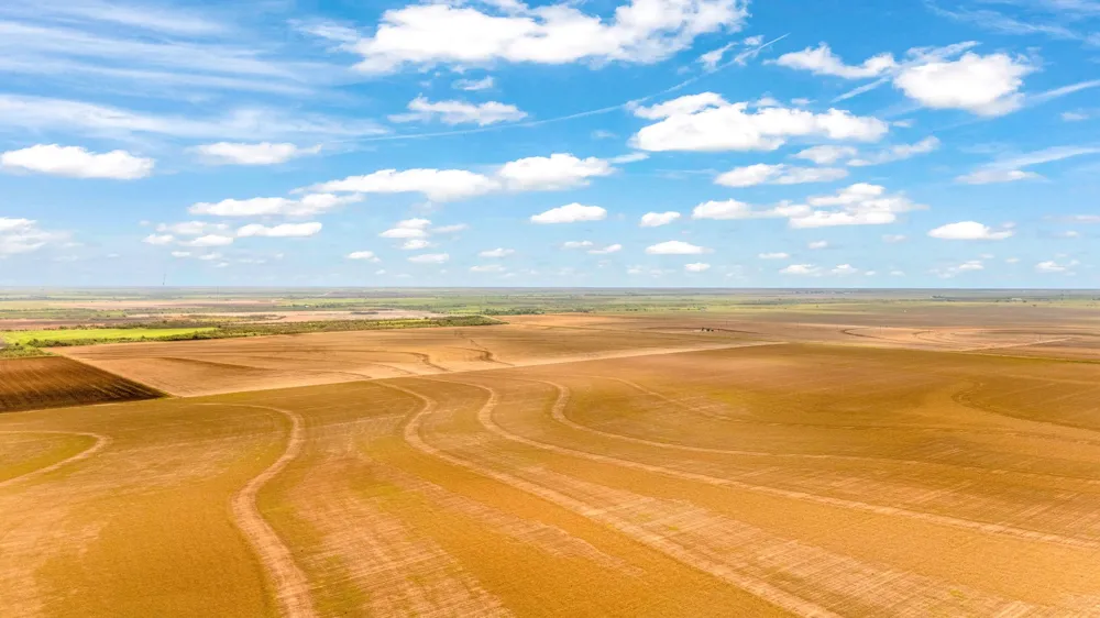 FM 384 Winters, TX 79567