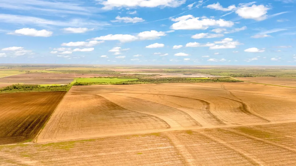 FM 384 Winters, TX 79567