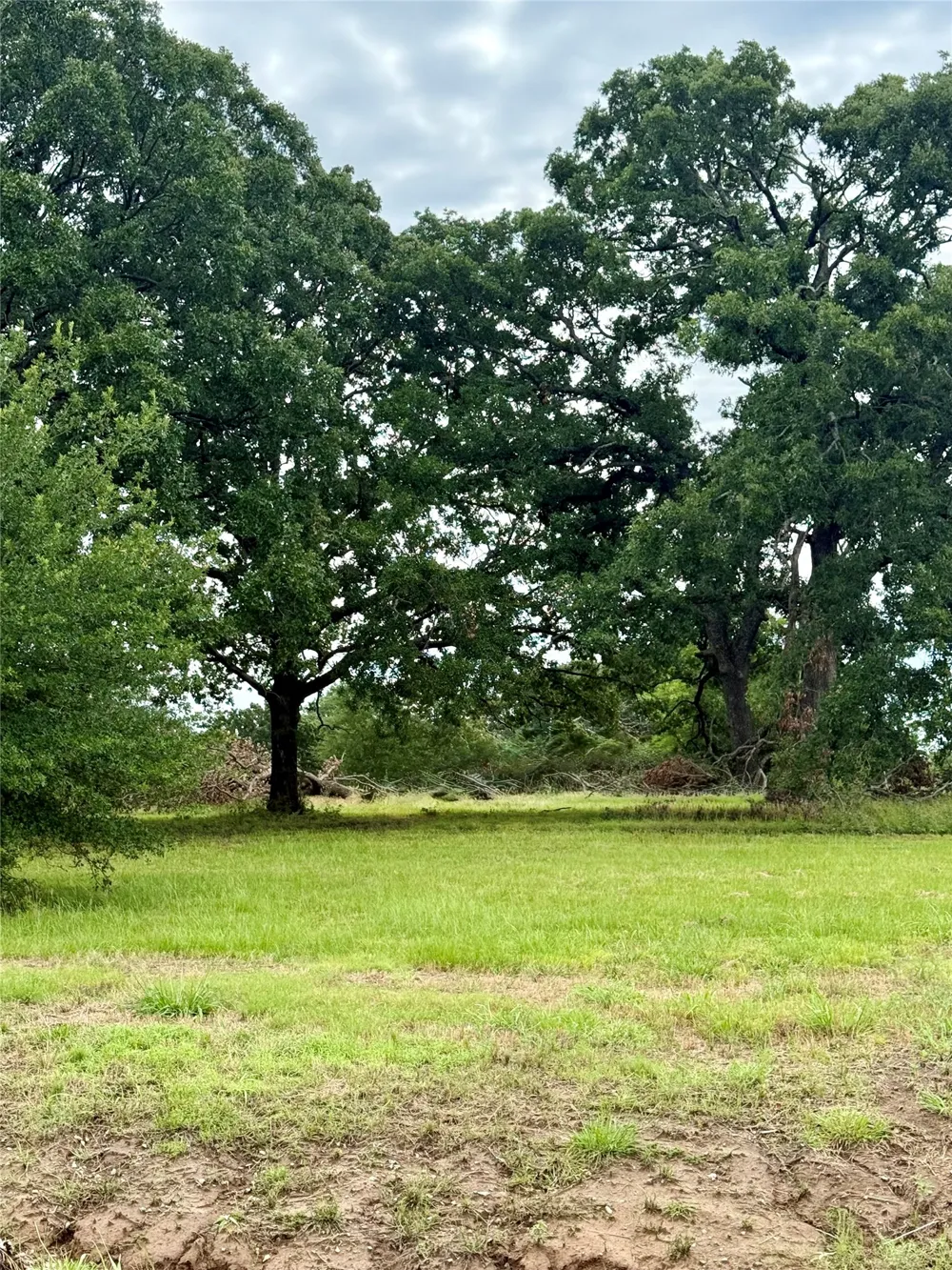 430 Shoreline Drive Dodd City, TX 75438