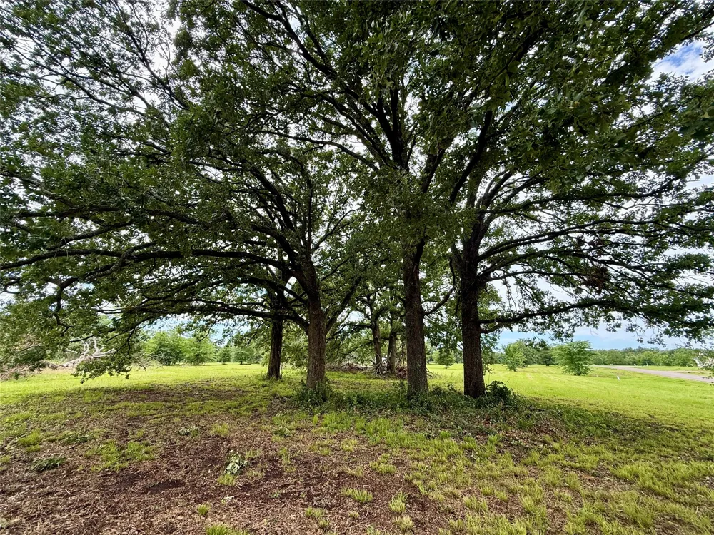 430 Shoreline Drive Dodd City, TX 75438