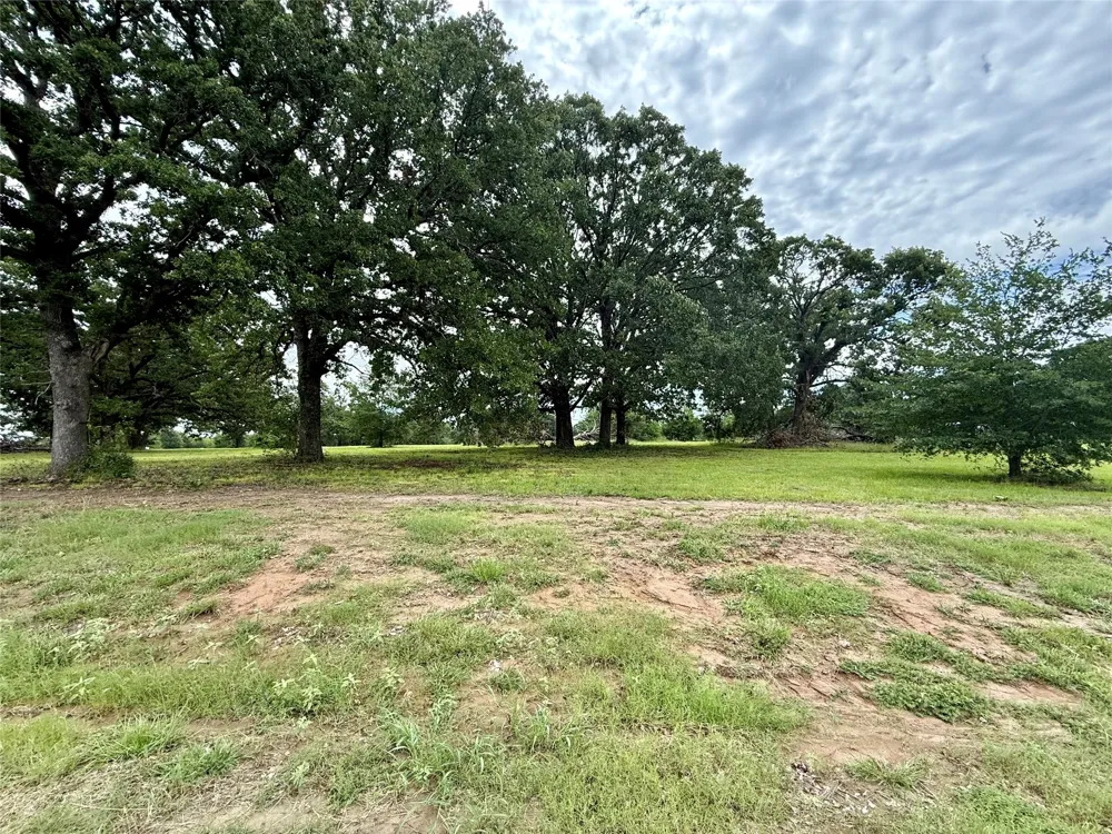 430 Shoreline Drive Dodd City, TX 75438