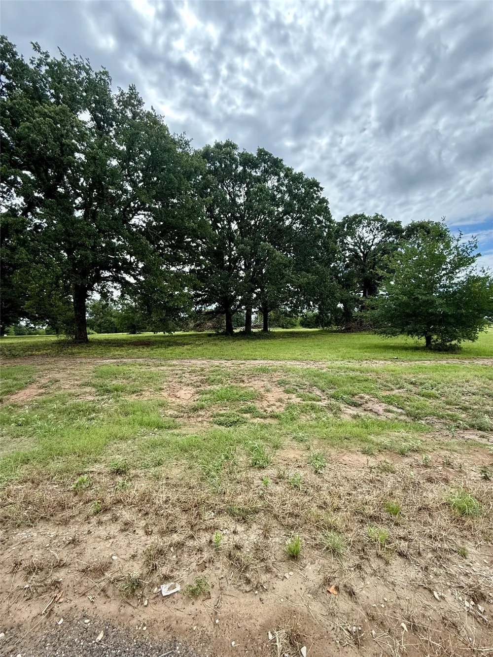430 Shoreline Drive Dodd City, TX 75438