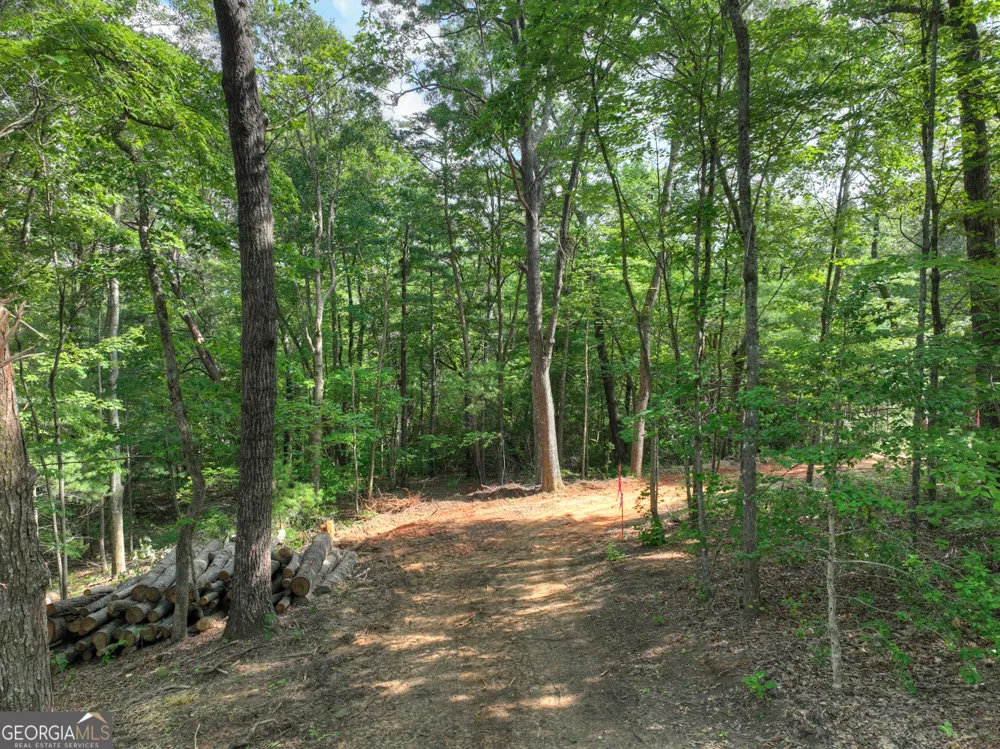 0 Sugar Creek RD Blue Ridge, GA 30513