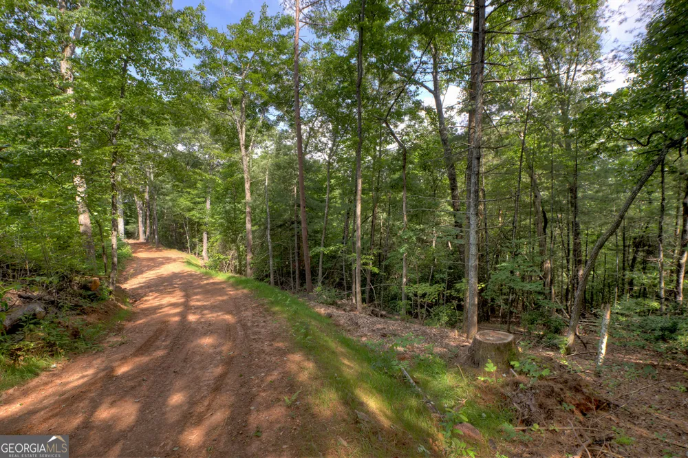 0 Sugar Creek RD Blue Ridge, GA 30513