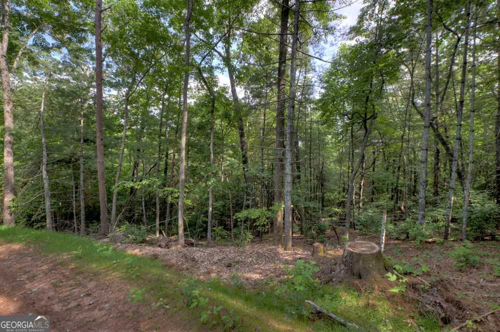 0 Sugar Creek RD Blue Ridge, GA 30513