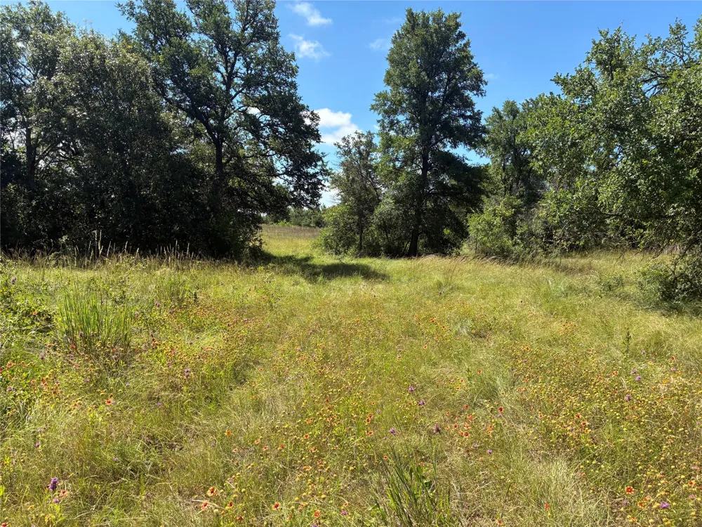 PR 530 A Evant, TX 76525